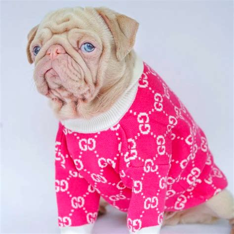 gucci pitbull sweater|gucci inspired dog clothes.